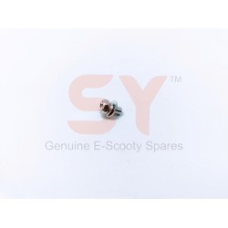 BATTERY SCREW(100PCS) BATTERY SCREW(100PCS)