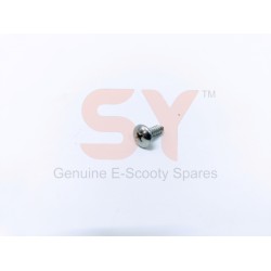 BODY SCREW BIG (STEEL BODY) 100 PCS BODY SCREW BIG (STEEL BODY) 100 PCS
