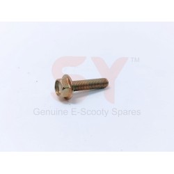 BIG BOLT (50PCS) BIG BOLT (50PCS)